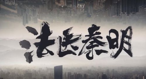 法医秦明之亡命救赎