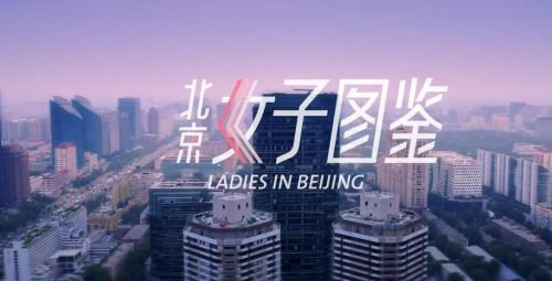 北京女子图鉴之助理女王