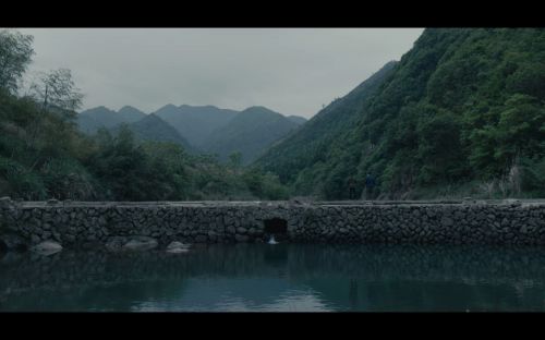我找牛