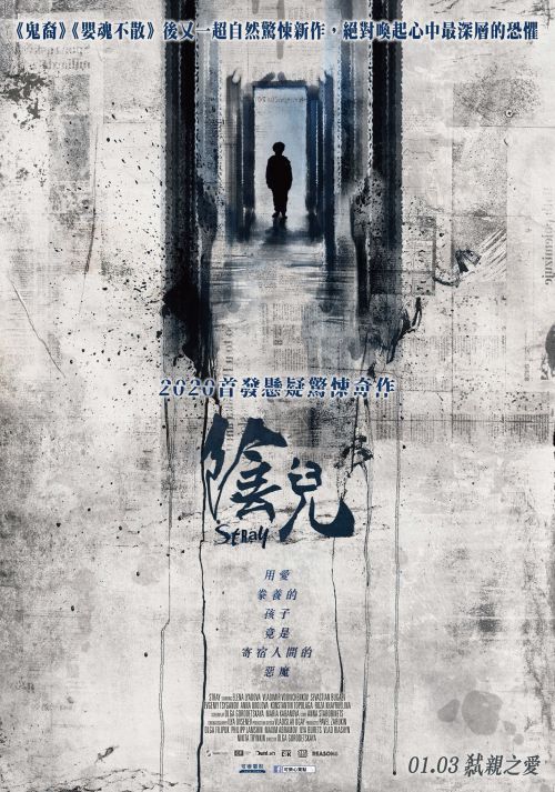 阴儿