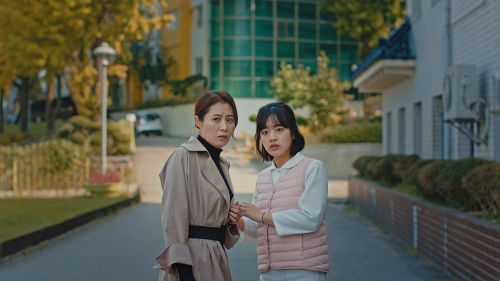 鲶鱼美琪