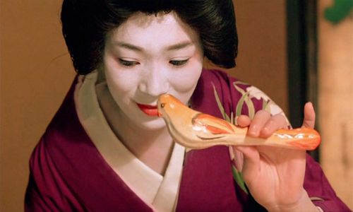 感官世界