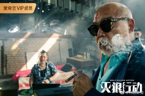 灭狼行动