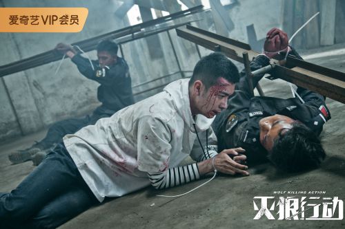 灭狼行动