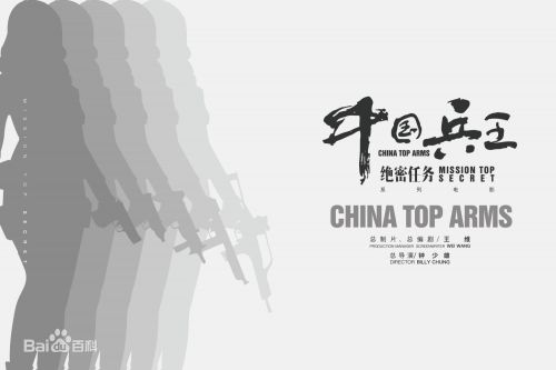 中国兵王之绝密任务