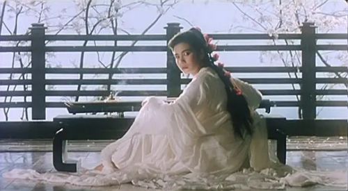 金燕子