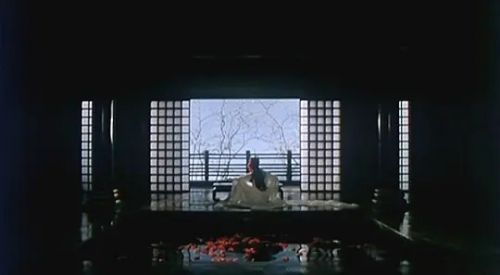 金燕子