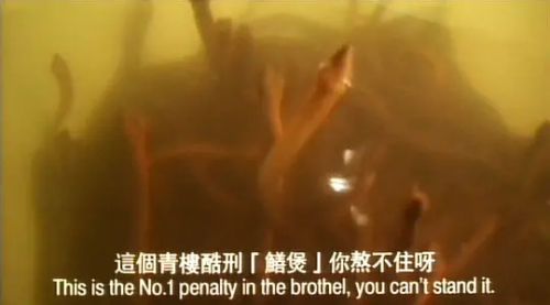 青楼十二房