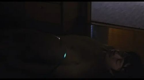 养杀人鬼的女人