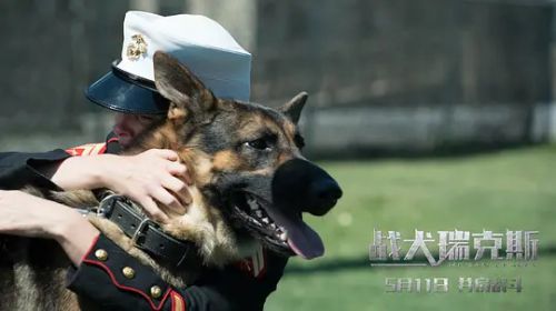 战犬瑞克斯