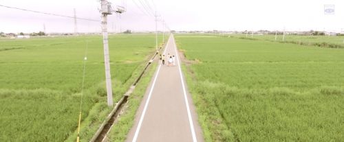 青色归途