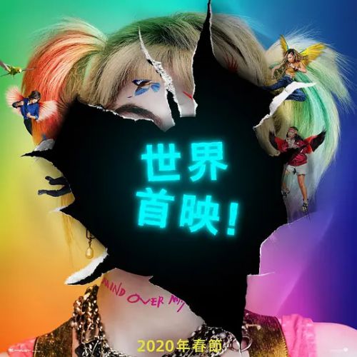 猛禽小队和哈莉·奎茵
