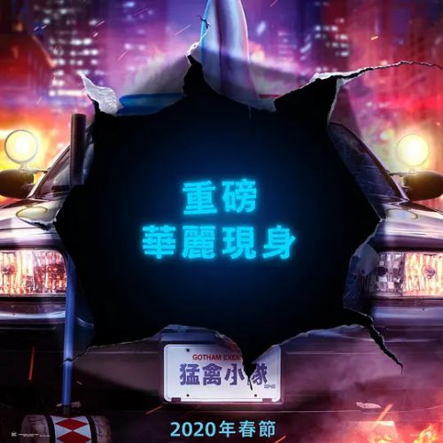 猛禽小队和哈莉·奎茵