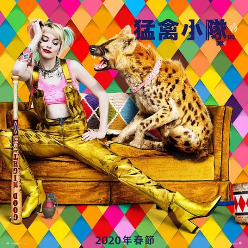 猛禽小队和哈莉·奎茵