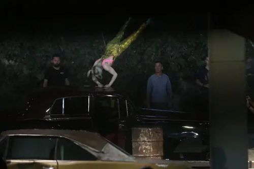 猛禽小队和哈莉·奎茵
