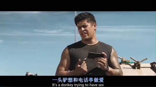 尼可曼斯