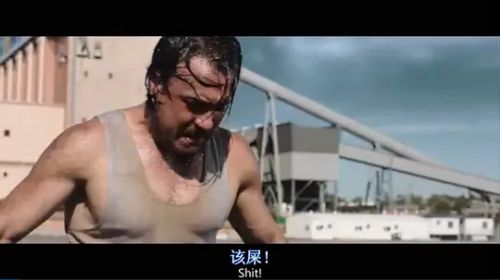 尼可曼斯