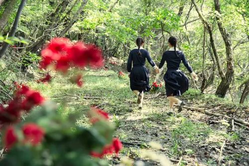 京城学校：消失的少女们