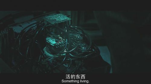 等待指示