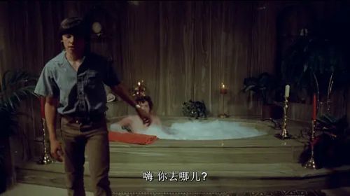 偷窥课程