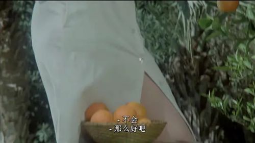 偷窥课程