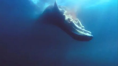 深蓝