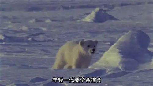 深蓝