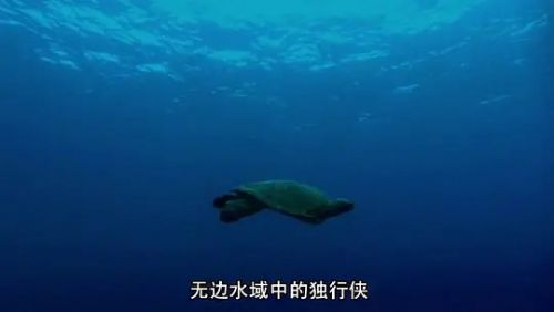 深蓝
