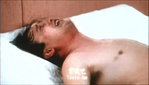 三剑侠与飞机妹