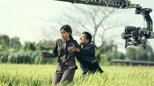 天灵盖