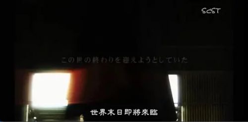 御姐玫瑰2