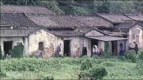 山村老尸