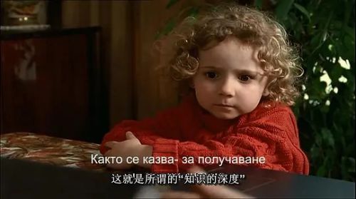 卖百科全书的女人