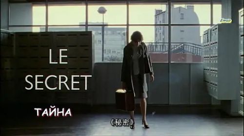 卖百科全书的女人