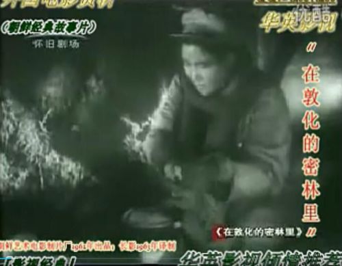 在敦化的密林里