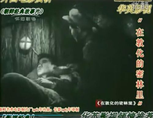 在敦化的密林里