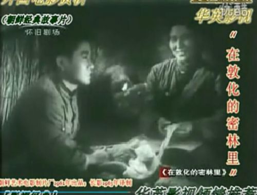 在敦化的密林里