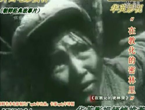 在敦化的密林里