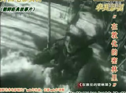 在敦化的密林里