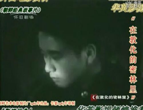 在敦化的密林里