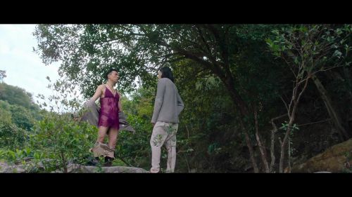 翠丝