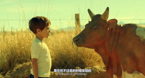 一个叫小小船的男孩