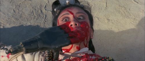 十四女英豪