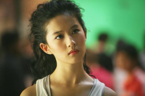 功夫之王