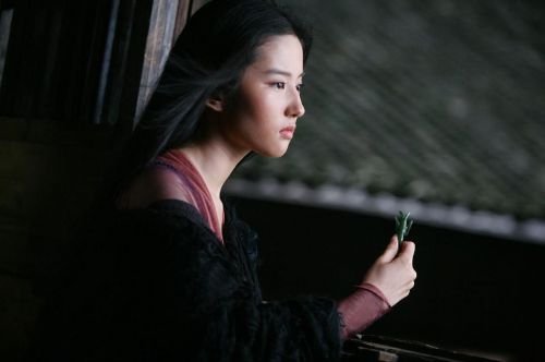 功夫之王