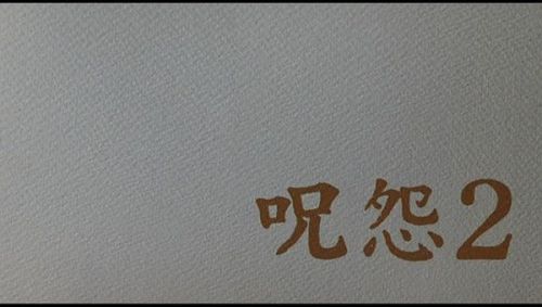 咒怨2