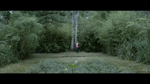 恶魔娜塔丽