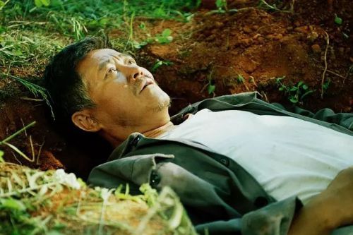 落叶归根