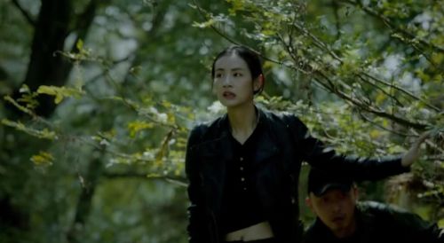 丛林少女之重启