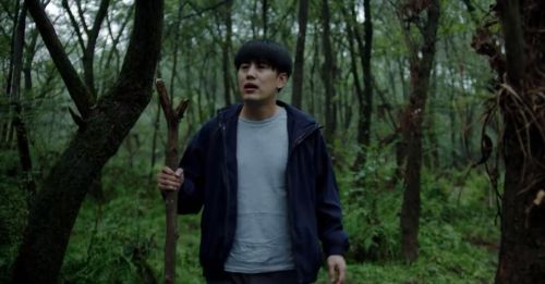 丛林少女之重启